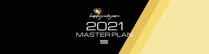Happy New Year + 2021 Master Plan